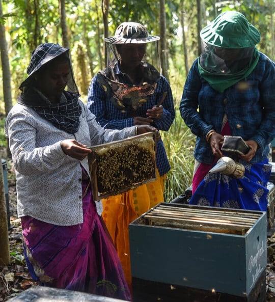 © Tanmoy Badhuri  WWF International