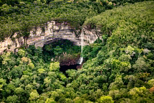 Colombia deforestation