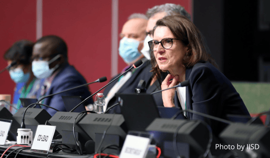 Delegates part of a Working Group on the post-2020 global biodiversity framework (WG2020
