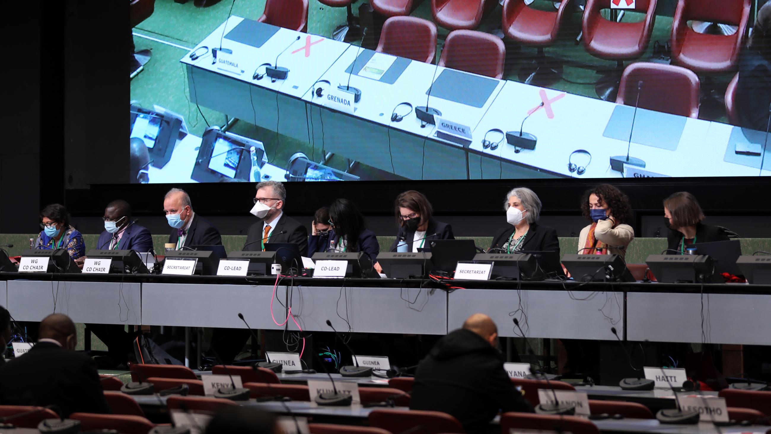 View of the dais during the contact group on the post-2020 global biodiversity framework