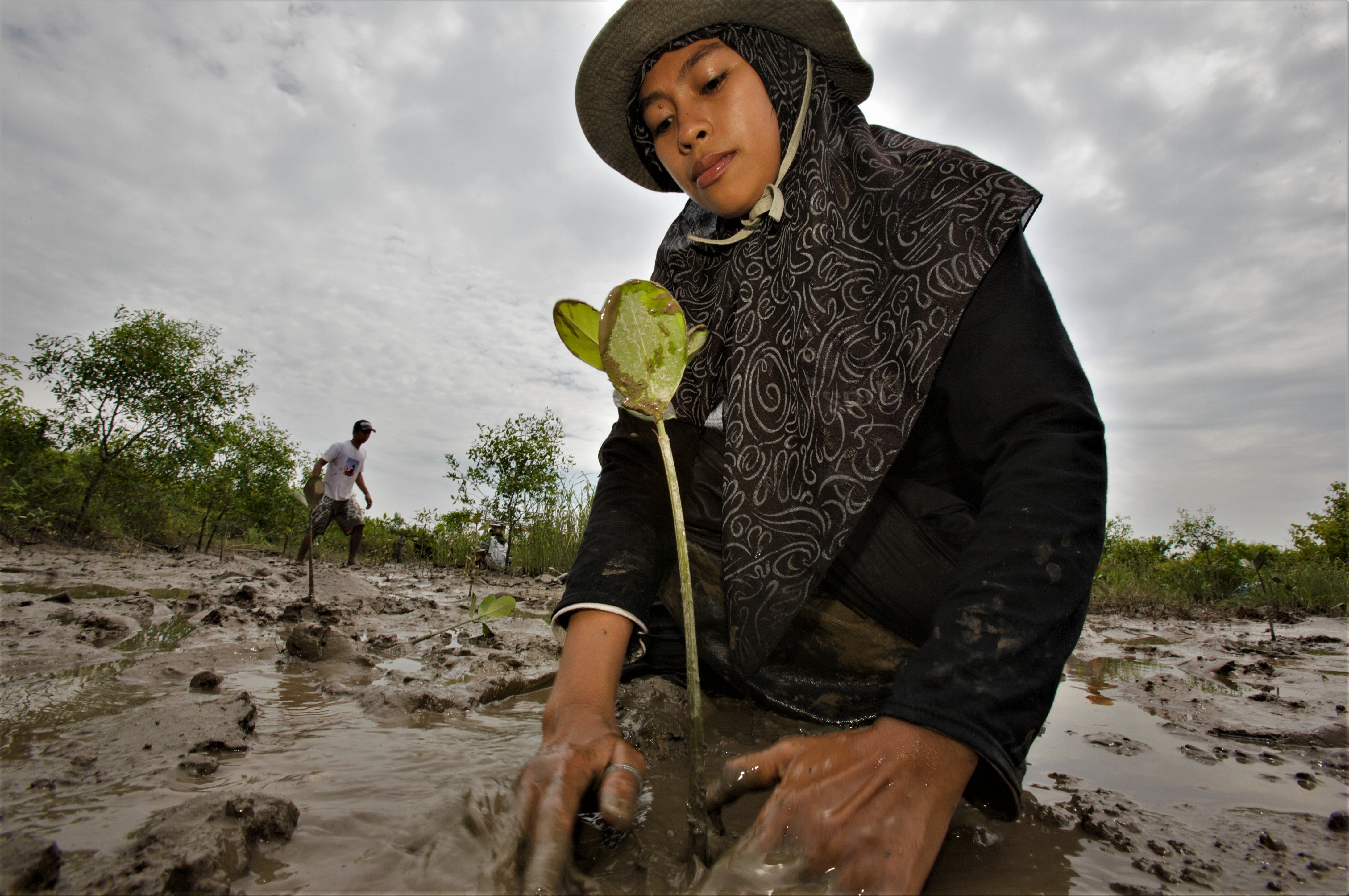 Untangled Nature Based Solutions